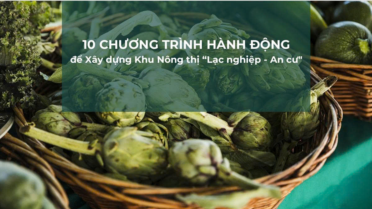 10-chuong-trinh-hanh-dong-du-an-nong-thi-Binh-Duong-.png